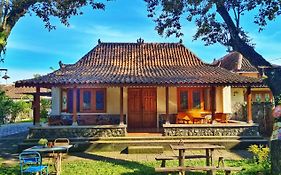 Omah Pitoe Yogya Homestay